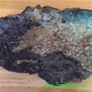 吉康药业 斑褐灵芝（树皮芝） 海南产地图2