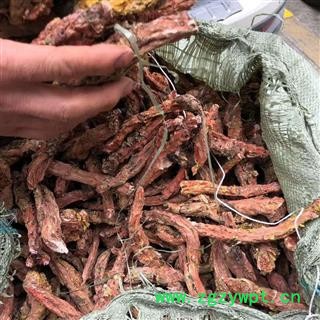 诺源药材行中药材红景天 大花去皮 优质选货图2