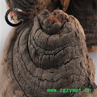 灵芝 野生裂蹄层孔菌 野生灵芝 药典标准 地道良药馆1000克直销 品种齐全 一站购齐图4