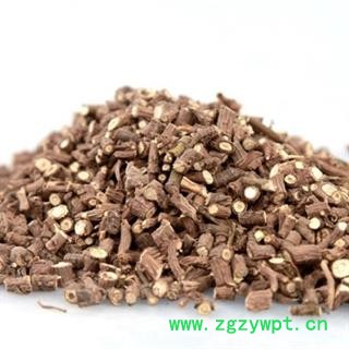 安祁名药柴胡 银柴胡 北柴胡图2