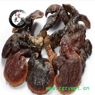 灵芝 野生有柄赤芝 海南产 野生灵芝 药典标准 地道良药馆1000克直销 品质齐全 一站购齐图2