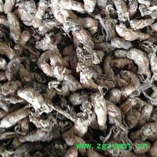 蝉花 金蝉花 金虫草 蝉花统货 产地 安徽省安庆市图3