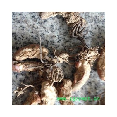 蝉花 金蝉花 金虫草 蝉花统货 产地 安徽省安庆市