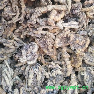 安祁名药正品黄连 石柱黄连 优质选货图2