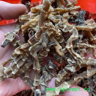 安祁名药正品竹节参 竹根七图2