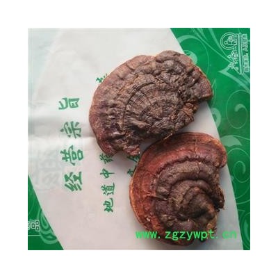 新辉药业野生灵芝 海南平盖灵芝