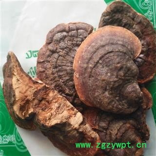 新辉药业野生灵芝 海南平盖灵芝图4