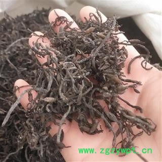 新辉药业水洗海藻 落首 海萝 乌菜 海带花 海藻菜图2