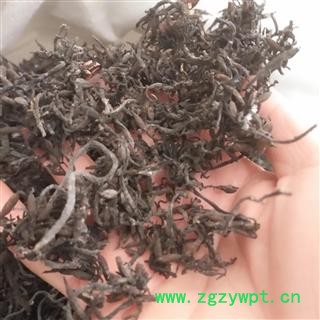 新辉药业水洗海藻 落首 海萝 乌菜 海带花 海藻菜图3