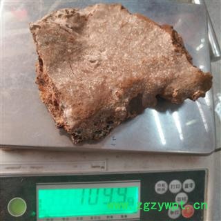 新辉药业桦褐孔菌 斑褐孔菌图2