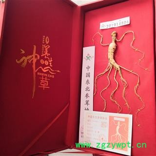 安祁名药人参  精装礼品盒带参有药检图2