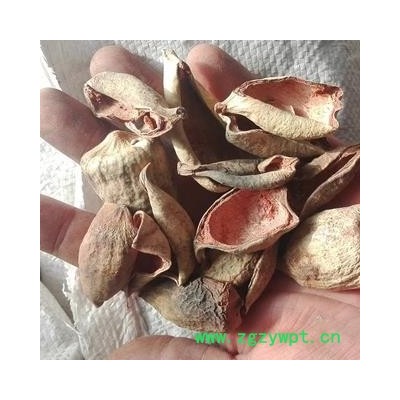 安祁名药木馒头 木馒头片