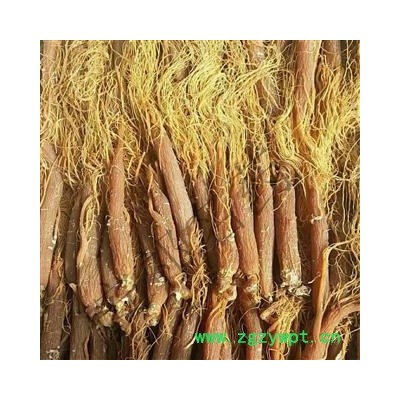 安祁名药红参 全须 产地 吉林省