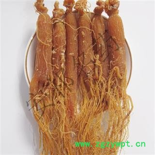 安祁名药红参 全须 产地 吉林省图2