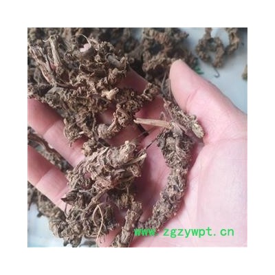 安祁名药优质中药材缬草  光缬草