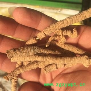 安祁名药正品远志 优质选货远志肉 抽心率95%图2