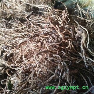 安祁名药正品龙胆草 北龙胆草 水洗货图3