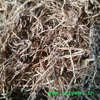 安祁名药正品龙胆草 北龙胆草 水洗货图2