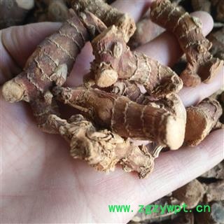 安祁名药正品高良姜 良姜 风姜图2