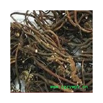 安祁名药中药材桃儿七 桃耳七 小叶莲