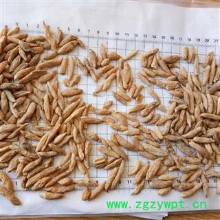 安祁名药麦冬 优质选货图2