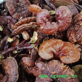 丽丽药业 灵芝红灵芝 中药材批发 正品保证实图拍照7天无理由退货退款图3