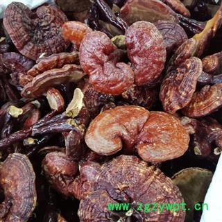 丽丽药业 灵芝红灵芝 中药材批发 正品保证实图拍照7天无理由退货退款图2