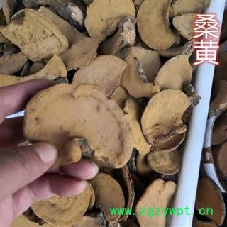 桑黄 东北桑黄 桑黄灵芝 德誉堂药业批发各种中药材图4