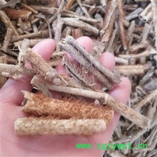 安祁名药正品刺五加  野生红毛刺五加图2