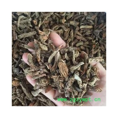 安祁名药正品红药子 山麒麟  麒麟竭