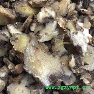 安祁名药黄精图2