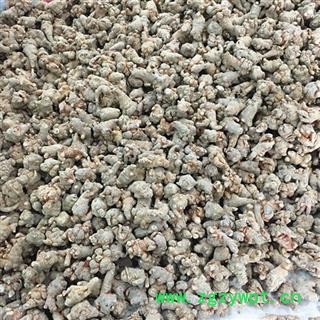 云南文山水洗45头三七/田七 滑头不带剪口 产地直销图2