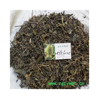 巴戟草统货 产地 四川省成都市双流县