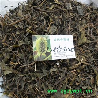 巴戟草统货 产地 四川省成都市双流县图2