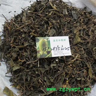 巴戟草统货 产地 四川省成都市双流县图3