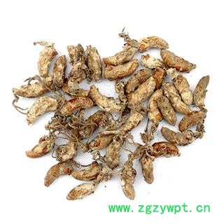 【满298元包邮】蝉花统货     500克1袋图2