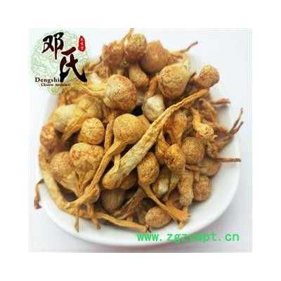 【满包邮】虫草花 孢子头虫草花 金虫草 优选品质 产地直销 邓氏中药批发