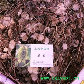 风车草 精品 产地 四川省成都市双流县图3