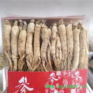 人参 本店新到生晒参60支纯干无硫磺 产地 吉林省图3