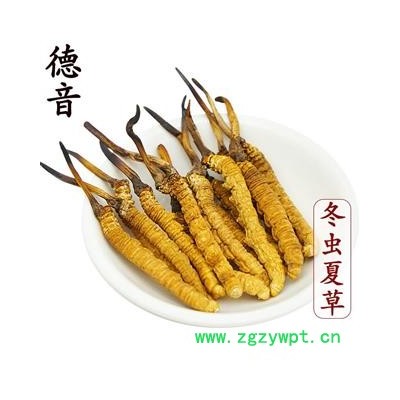 【满包邮】冬虫夏草 2条/克 产地西藏那曲 中药材批发 规格齐全