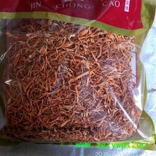 金虫草 统货图2