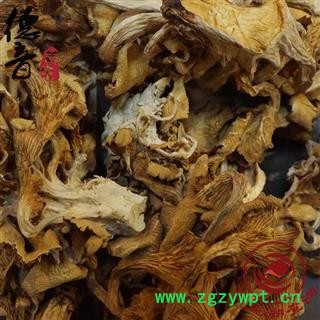 【满包邮】鸡油菌 产地 四川省 1000g 中药材天门冬批发 规格齐全图4