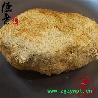 【满包邮】猴头菌 猴头菇 产地 黑龙江省 买好货 选德音 正品溯源 规范标准 三证齐全 全品类药材一站购齐图4