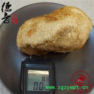 【满包邮】猴头菌 猴头菇 产地 黑龙江省 买好货 选德音 正品溯源 规范标准 三证齐全 全品类药材一站购齐图3