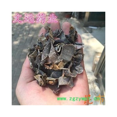 昆布 统装 产地 广西壮族自治区玉林市市辖区