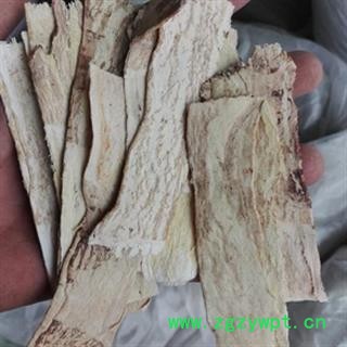 安祁名药黄芪 大压片图2