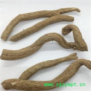 安祁名药优质紫金龙  串枝莲图2