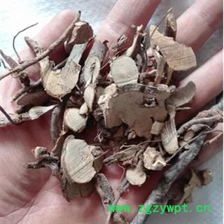 安祁名药正品野生刺梨根  野刺梨根 优质新货图2