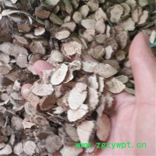 安祁名药正品野菖蒲 泥菖蒲 臭菖 大叶菖蒲图2