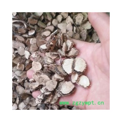 安祁名药正品野菖蒲 泥菖蒲 臭菖 大叶菖蒲